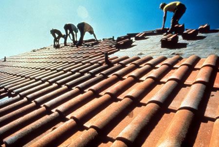 What should you know about Ashaplt shingles