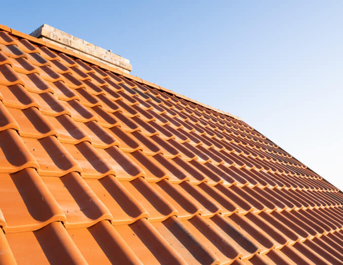 New Shingle Roof