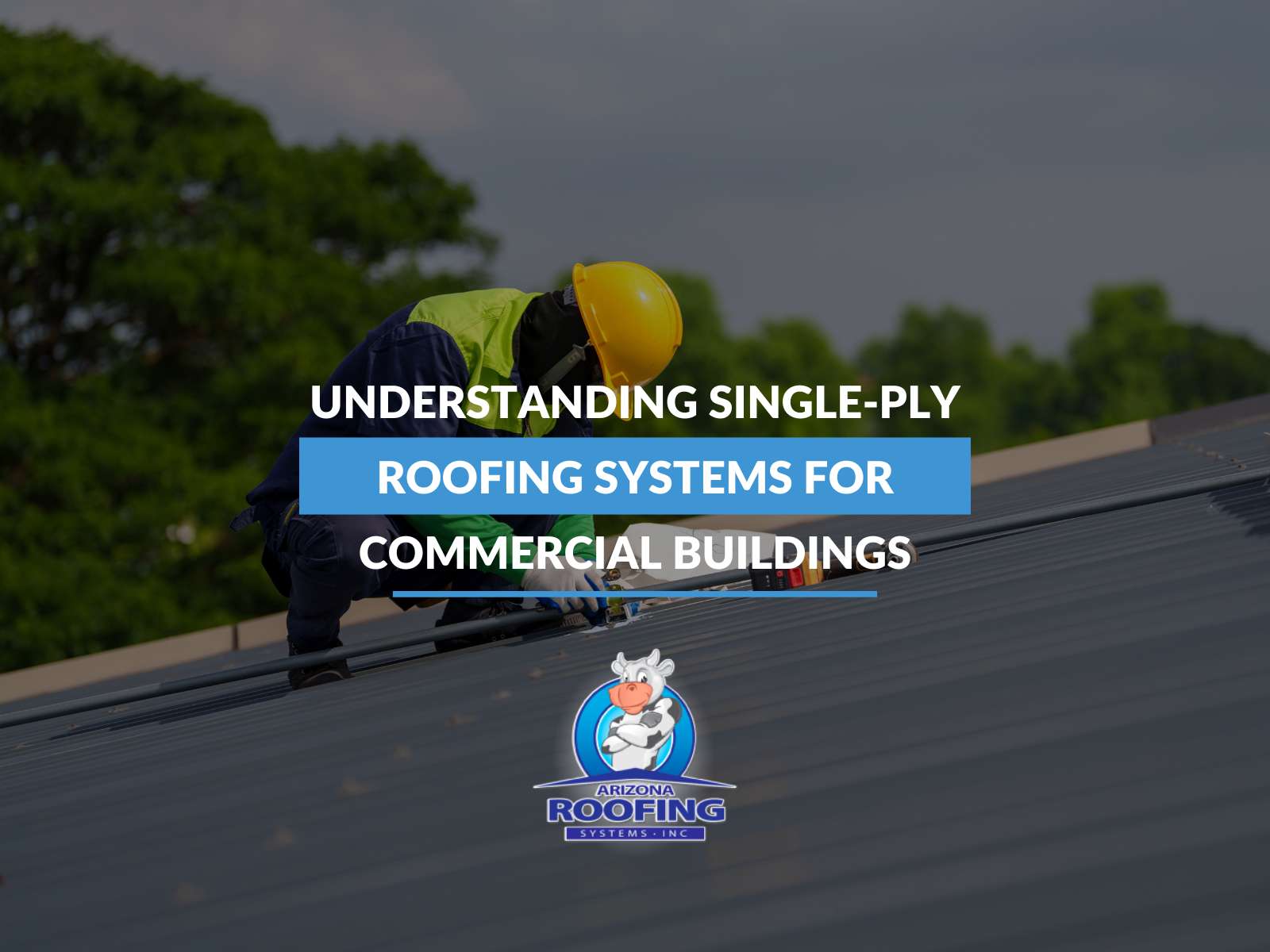understanding-single-ply-roofing-systems-for-commercial-buildings